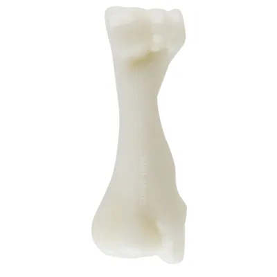 Brinquedo Ossão Nylon Buddy Toys