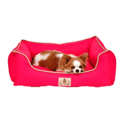Cama Barcelona Bichinho Chic Rosa