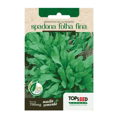 Sementes de Almeirão Spadona Folha Fina Tradicional Topseed Garden