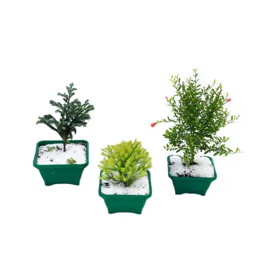 Bonsai Junior Vaso de Porcelana