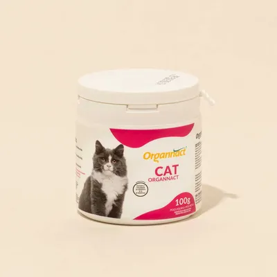 Organnact Cat Probiótico em Pó