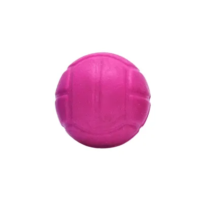 Bola Borracha Maciça Mini Tudo Pet Rosa