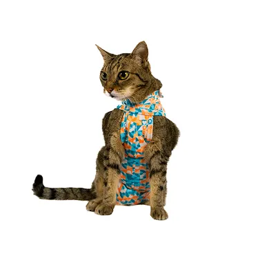 Roupa Pós-Cirúrgica Elastic Gato Zetta Pet