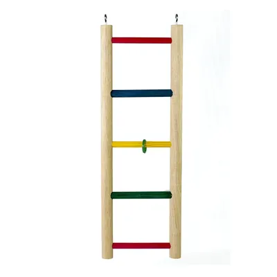 Brinquedo Escada Mini Terapêutica Kakatoo