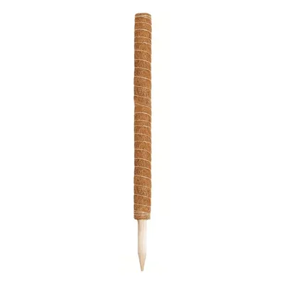 Tutor Fixo de Fibra de Coco com Base de Madeira para Plantas Top Garden