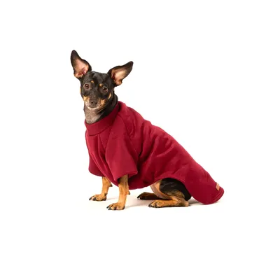 Blusa Moletom Com Manga Vinho Fábrica Pet