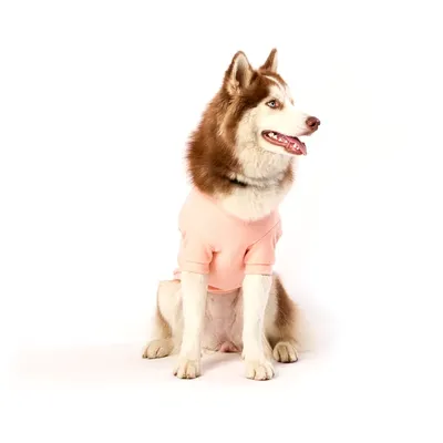 Casaco Bean para Cães e Gatos Emporium Distripet Rosa