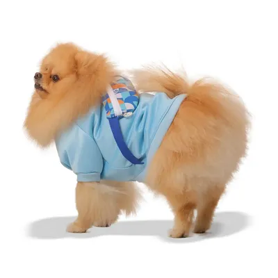 Blusão Originals para Cães e Gatos Emporium Distripet Azul