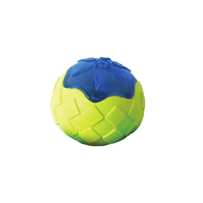 Brinquedo Bola Tex Pets Verde e Azul