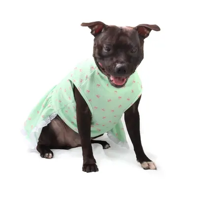Vestido Lacinhos Bichinho Chic Verde
