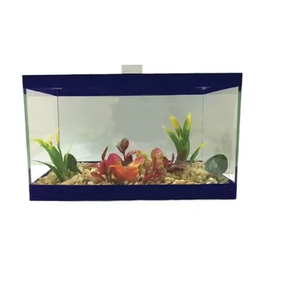 Beteira Transversal Lester Azul