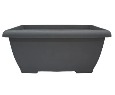 Jardineira Siena FG Import Cinza