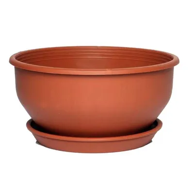 Cuia com Prato para Plantas Desli Marrom