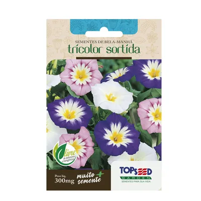 Sementes de Bela Manhã Tricolor Sortida Tradicional Topseed Garden