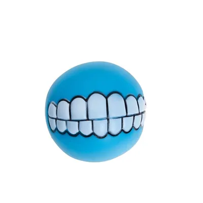 Brinquedo Bola Vinil Sorriso HomePet